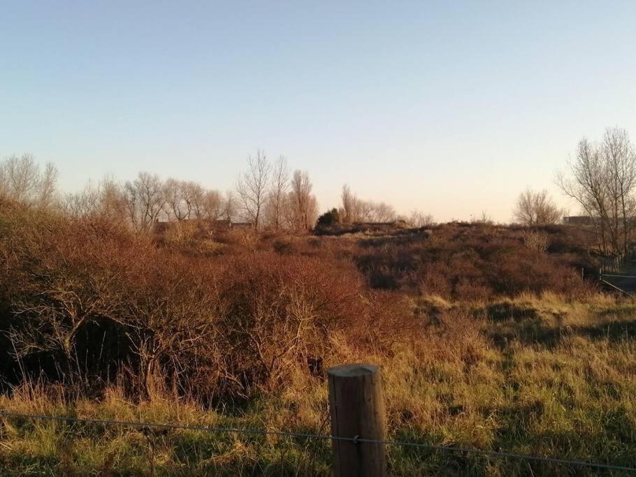 Lovely N° 9 Op Ieder Moment Een Prachtig Zeezicht & Zwembad Middelkerke Dış mekan fotoğraf